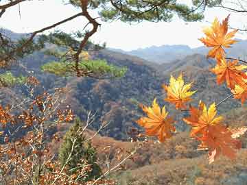 定州與泰州大風(fēng)實(shí)時(shí)新聞熱點(diǎn)解析與個(gè)人立場(chǎng)觀(guān)點(diǎn)分享