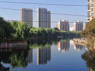 葫蘆島招聘營(yíng)業(yè)員與貴陽(yáng)疫情實(shí)時(shí)監控，探尋寧靜之旅的綠色監控行動(dòng)
